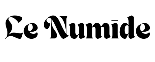 Le numide | L'information autrement